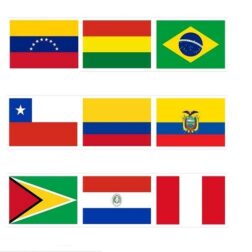 Bandera país con atributo de flameo 90x150 cm - Nuevo Milenio