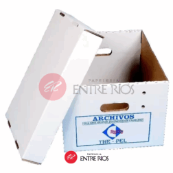 Caja Archivo con Tapa The Pel - Blanca 43x33x24 cm